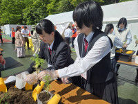 1778987624592